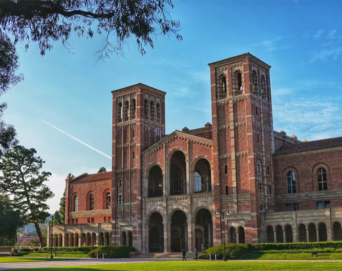 一流的国际教育标准