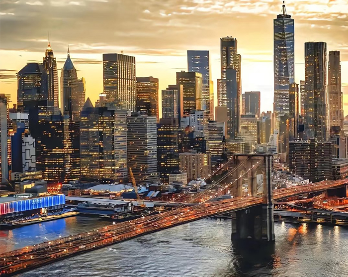 自由开放的专业选择