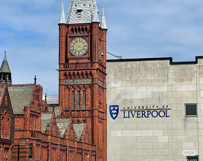 高质量教学体系