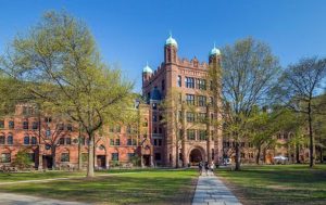 美国留学 | 文科生留学美国怎么选专业？热门专业及...