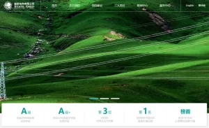 2025年“国家电网”首批录用名单已发布！来自“英澳新...